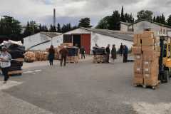 bf02f11b-1733-48d7-a256-f690bda79753