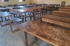 6a8d2bd1-a256-4ecb-b67f-5c9b19742b42-Pequena