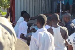 c0c59cac-c2e6-4a91-b813-6b9570a96c9d-Pequena