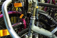 270993996_4750471765012167_7697748855979768708_n