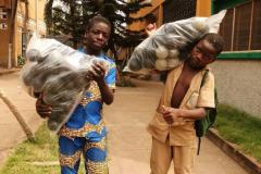 ddb2d4ca-cfff-418b-a137-7fd480b55ee0