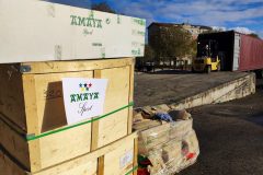 IMG_20250405_092757-Grande