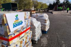 IMG_20250405_095631-Grande