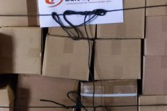 IMG_20250405_101713-Grande