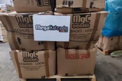 IMG_20250405_101832-Grande