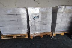 IMG_20250405_102031-Grande