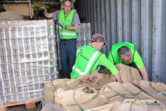 IMG_20250405_102935-Grande