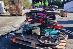 IMG_20250405_104741-Grande