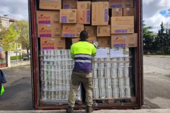 IMG_20250405_112724-Grande