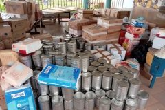 2ef04d19-5ae2-40e5-8cd7-1e1fe4304953-copia