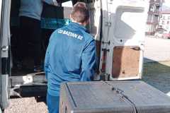 568bfc15-dd06-4010-8bdf-dd18c4f096a5