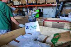 3311af74-9341-4106-86a6-906e1f36343d