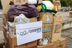 IMG_20240921_091757-Grande