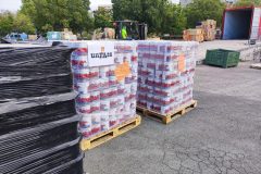 IMG_20250830_092353-Grande