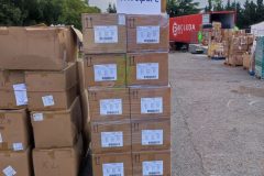 IMG_20250830_092813-Grande