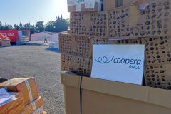 IMG_20250906_090448-Grande