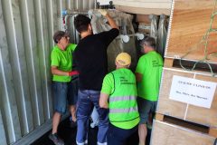 IMG_20250906_094208-Grande