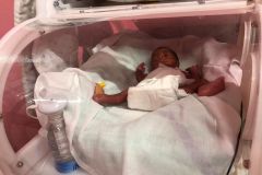 9b8affa8-e8fd-4ad2-88dd-d0974fafa036