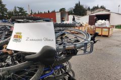 IMG_20250111_091313_BURST1