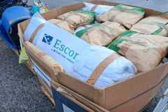 c0dcd9a4-3529-4941-9ea4-a374110cd78c