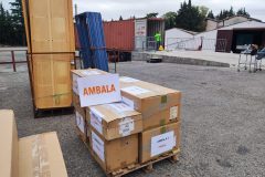 IMG_20250913_090002-Grande