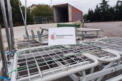 IMG_20250913_091708-Grande