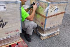 IMG_20250913_093547-Grande