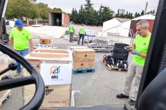 IMG_20250913_093647-Grande