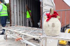 IMG_20250913_100304-Grande