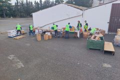 IMG_20251025_094624-Grande