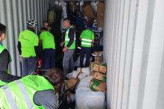 IMG_20251025_095324-Grande