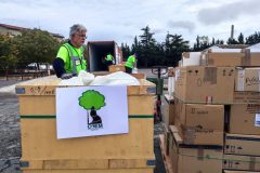 IMG_20251025_100732-Grande