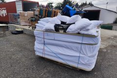 IMG_20251025_101916-Grande