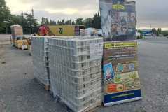 008f46a6-8a40-4f6c-8e3c-8266418ad8cd