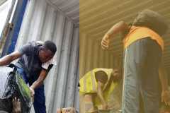 275a99db-1a3f-4c00-9bad-a68b57b0e3be