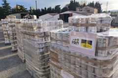 IMG_20251105_085951-Grande