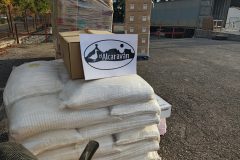 IMG_20251105_090731-Grande