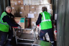 IMG_20251105_091444-Grande