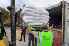 IMG_20251105_105603-Grande