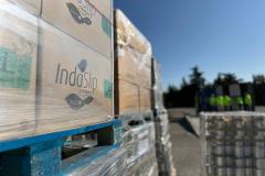 9cb9b74a-3b88-4396-8653-219bf294f13d