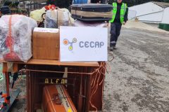 IMG_20260211_092833-Grande