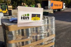 IMG_20250927_092804-Grande