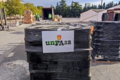 IMG_20250927_093842-Grande