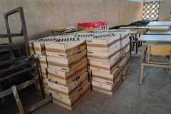 Imagen-de-WhatsApp-2023-10-27-a-las-13.02.18_a3841a62