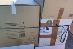 IMG_20250517_085517-Grande