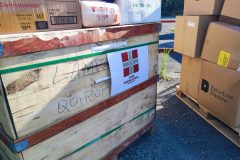 IMG_20250517_090616-Grande