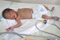 13389e13-6c2e-4ec2-805d-01a5b795f06f