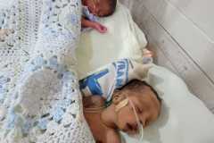 97e9977b-d0a4-45f0-ab1c-2d435d03294a