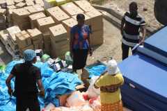 e1fb9b62-8177-405a-8257-30c093edd4e9