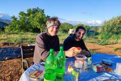 561ed442-0a04-4617-b077-c036ce08d163